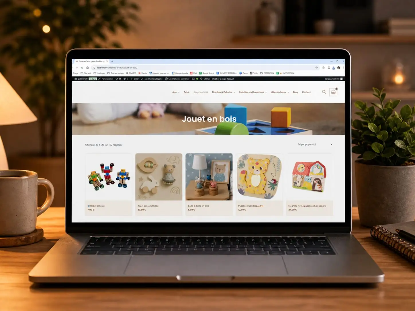 Création de site internet pour Petitronc